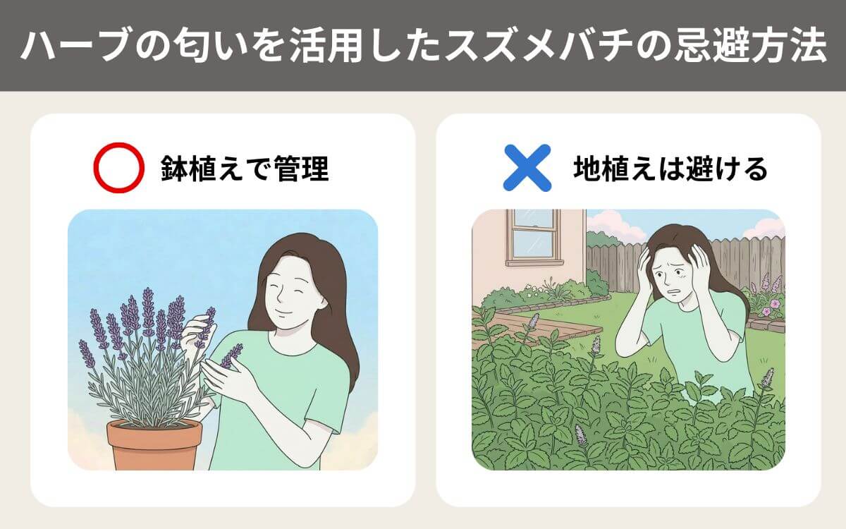 ハーブの匂いを活用したスズメバチの忌避方法