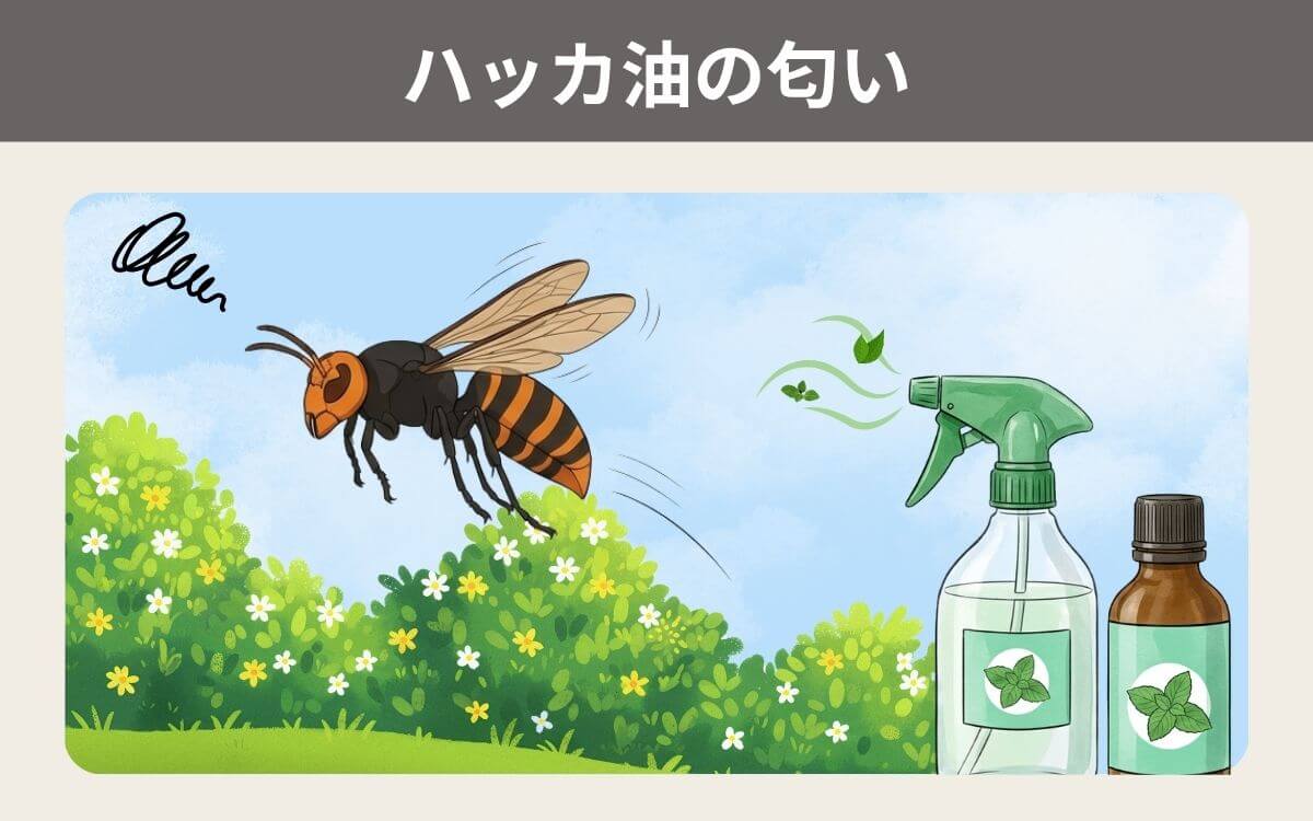 ハッカ油の匂い