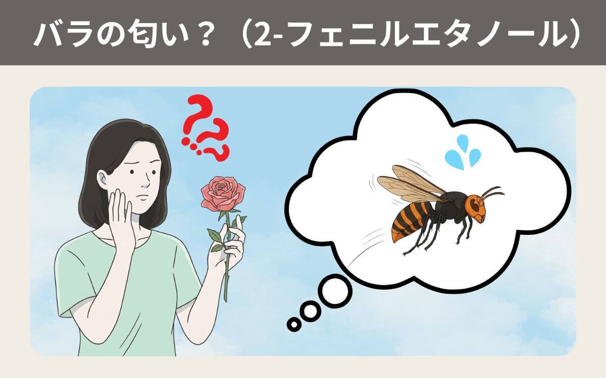 バラの匂い？