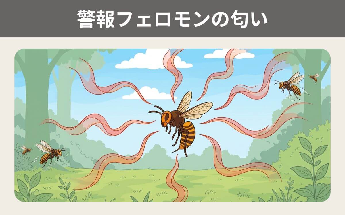 警報フェロモンの匂い