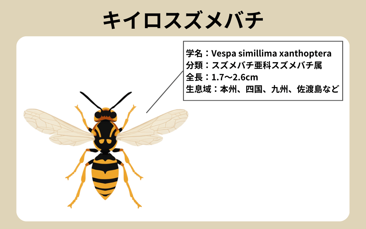 キイロスズメバチ