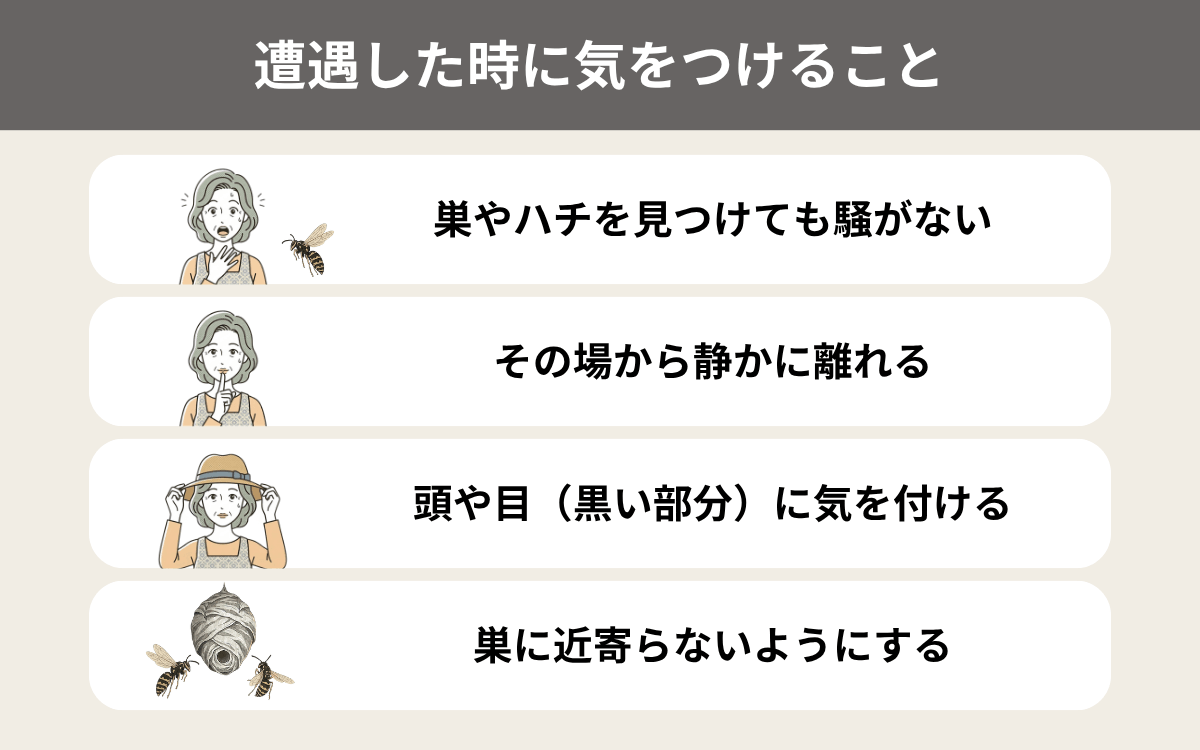 シロオビホオナガスズメバチに遭遇したら