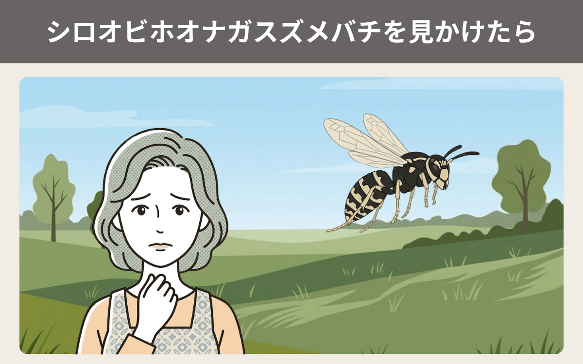 シロオビホオナガスズメバチを見かけたらどうする？