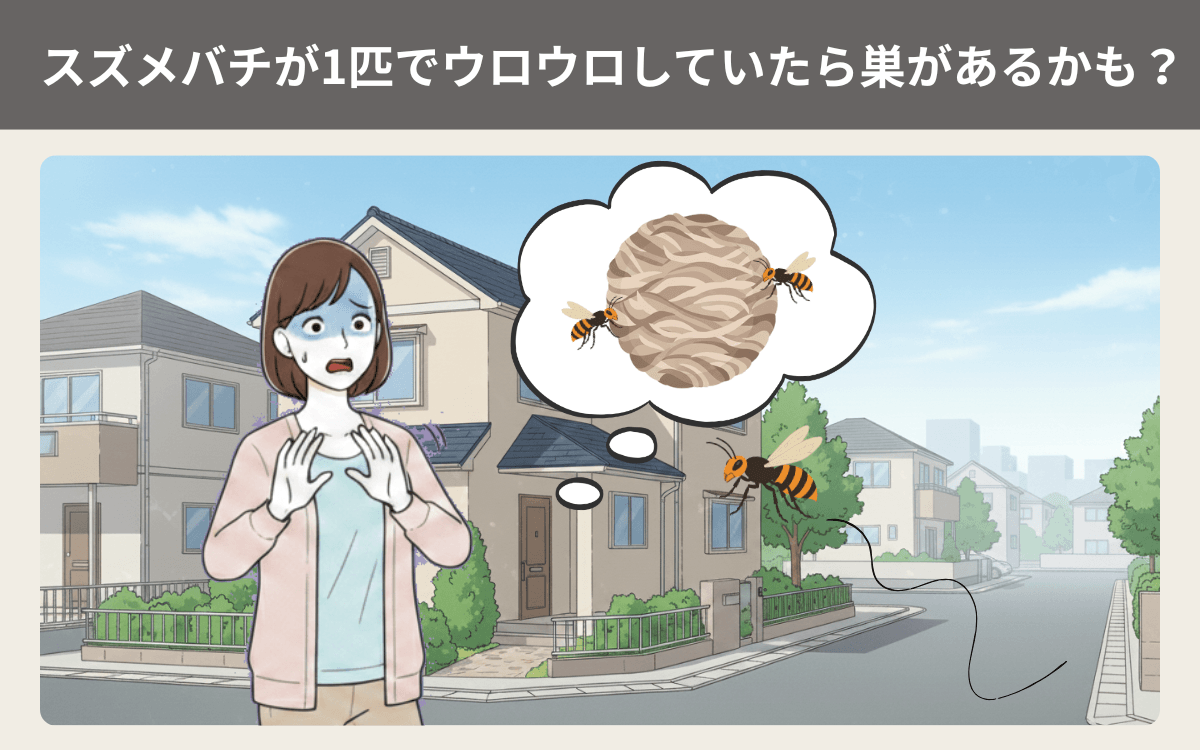 スズメバチが1匹でウロウロしていたら巣があるかも？