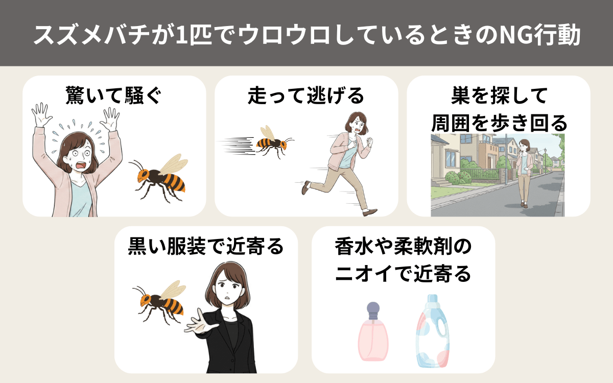 スズメバチが1匹でウロウロしているときのNG行動