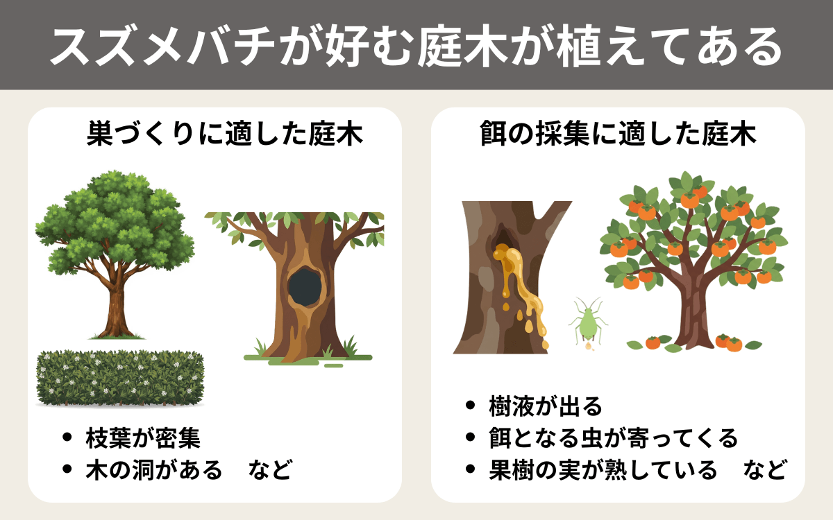 スズメバチが好む庭木が植えてある