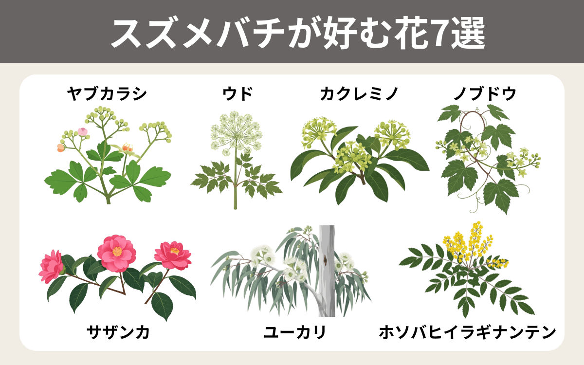 スズメバチが好む花7選