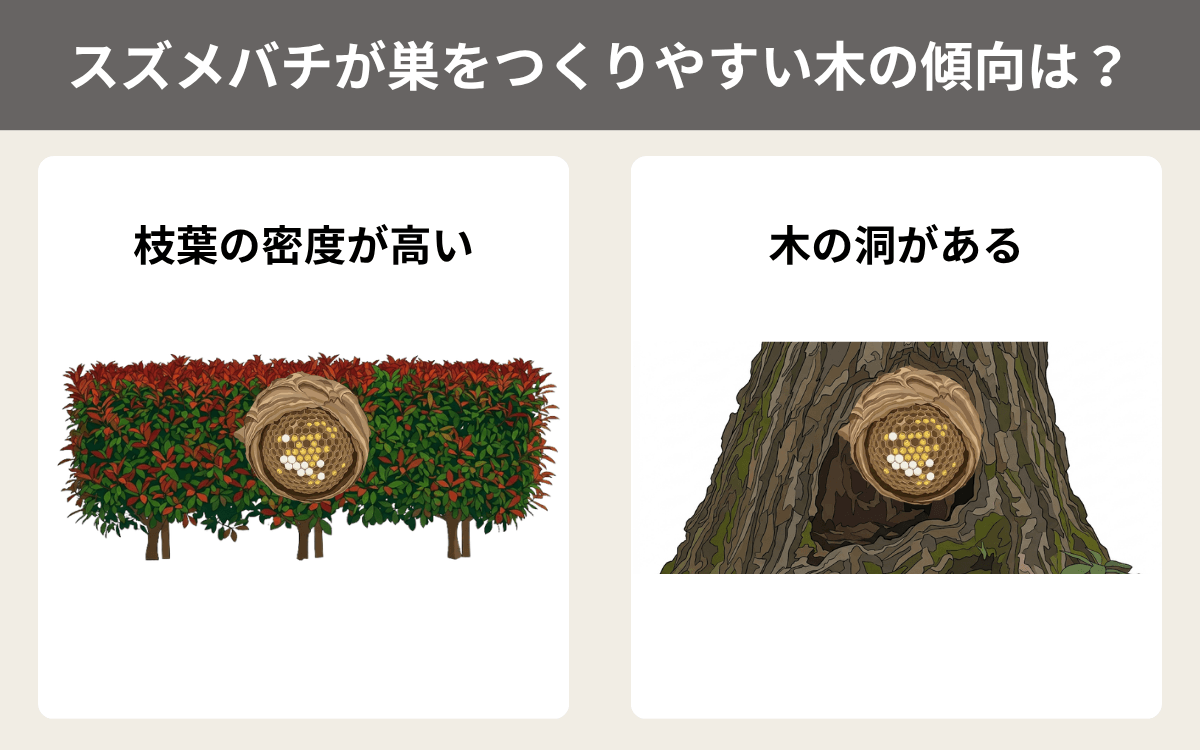 スズメバチが巣をつくりやすい木の傾向は？