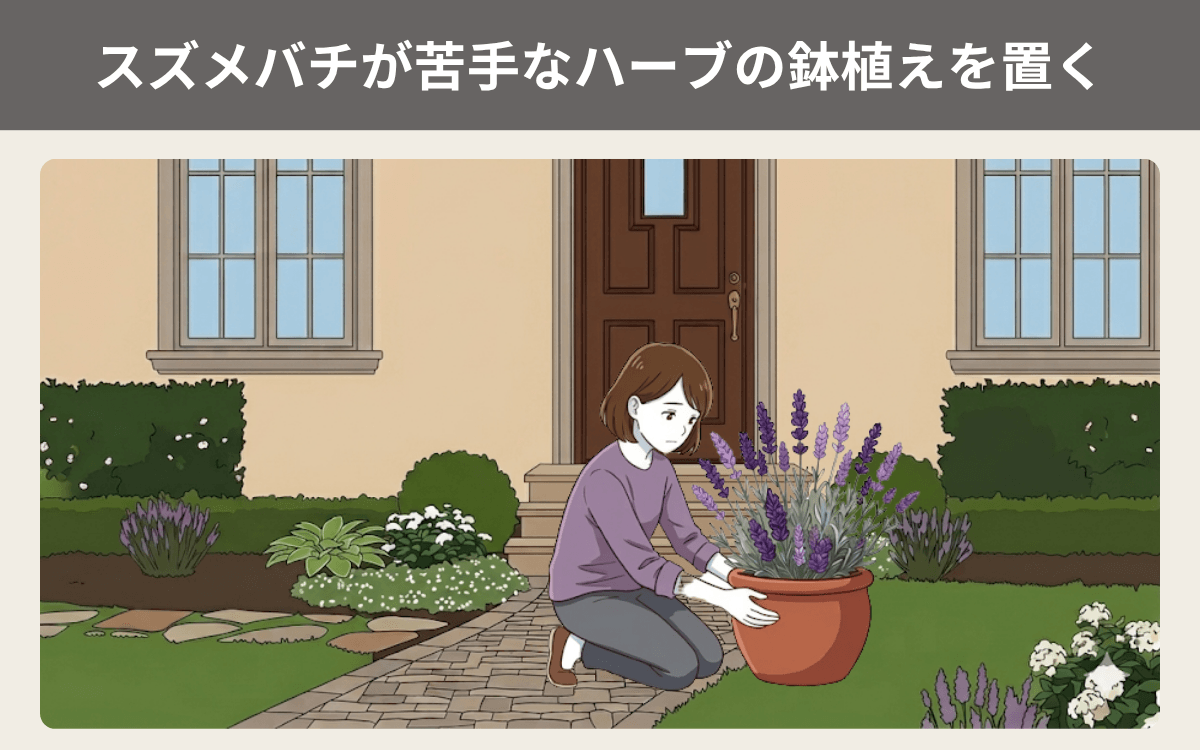 スズメバチが苦手なハーブの鉢植えを置く 1