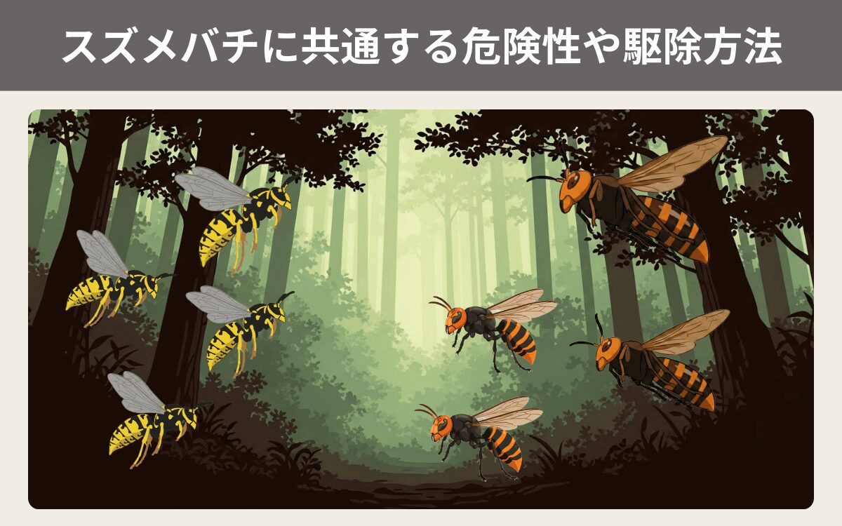 スズメバチに共通する危険性や駆除方法 1
