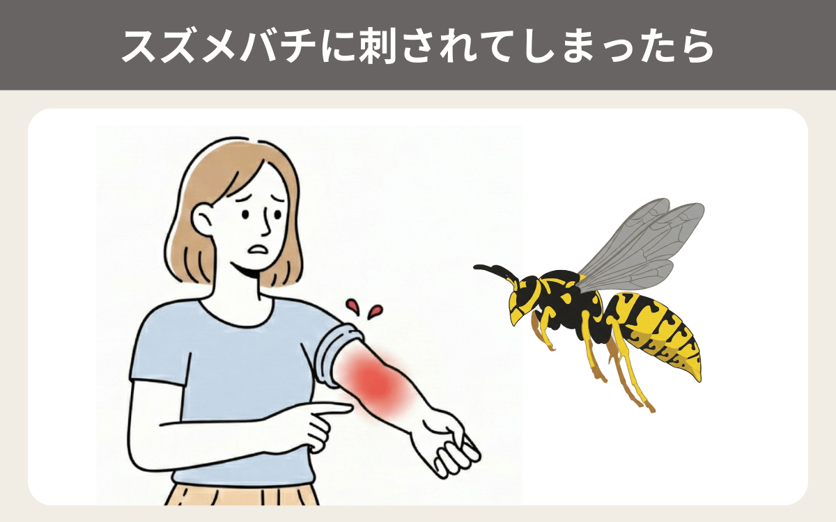 スズメバチに刺されてしまったら