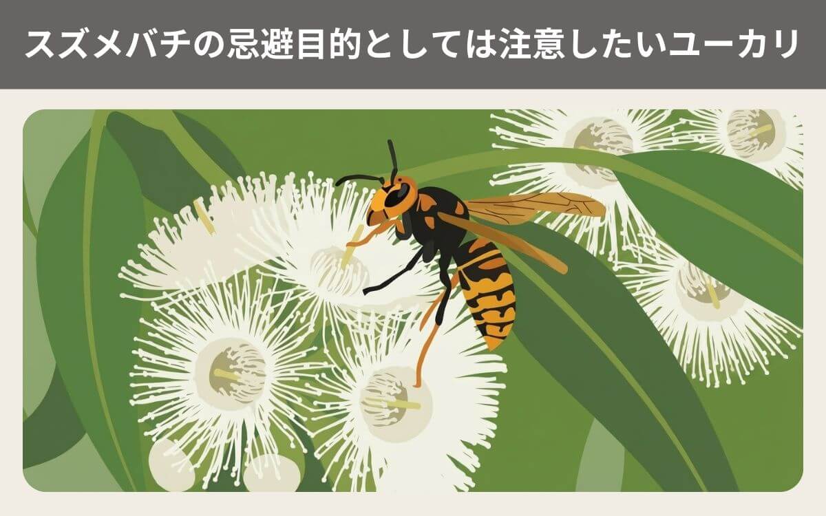 スズメバチの忌避目的としては注意したいユーカリ