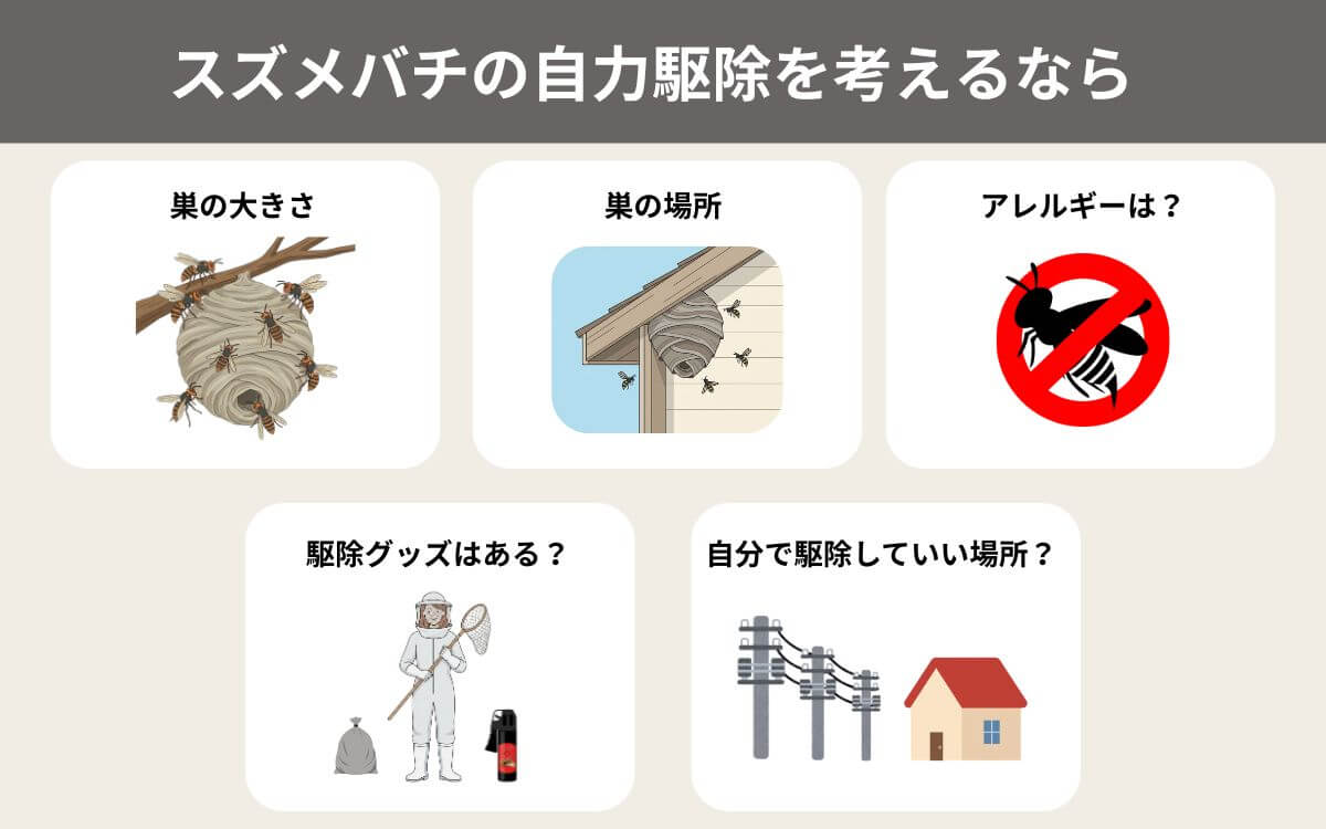 スズメバチの自力駆除を考えるなら
