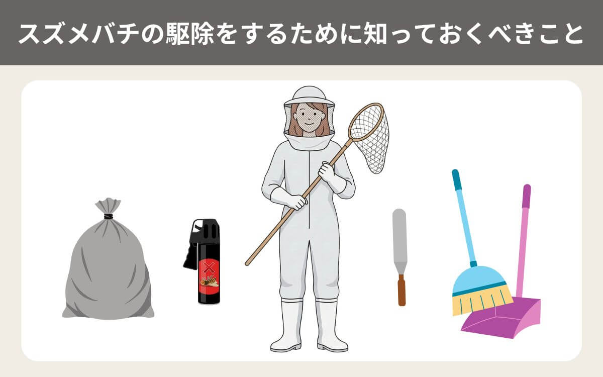 スズメバチの駆除をするために知っておくべきこと