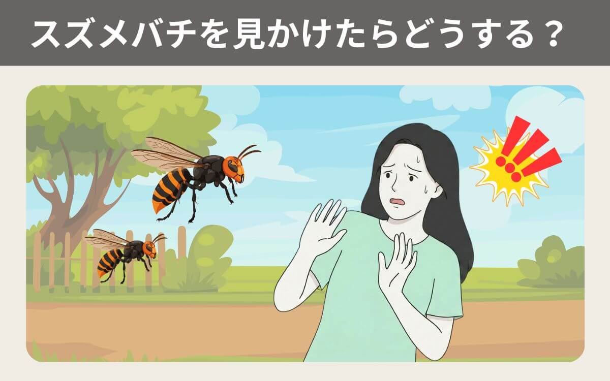 スズメバチを見かけたらどうする？
