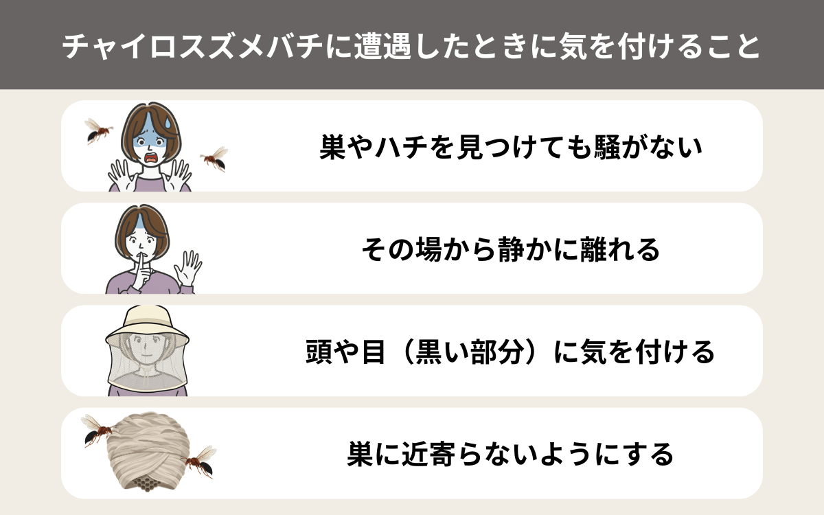 チャイロスズメバチに遭遇したら