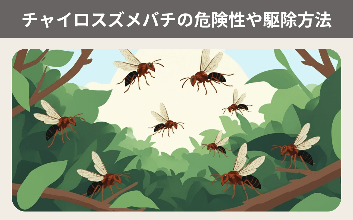 チャイロスズメバチの危険性や駆除方法