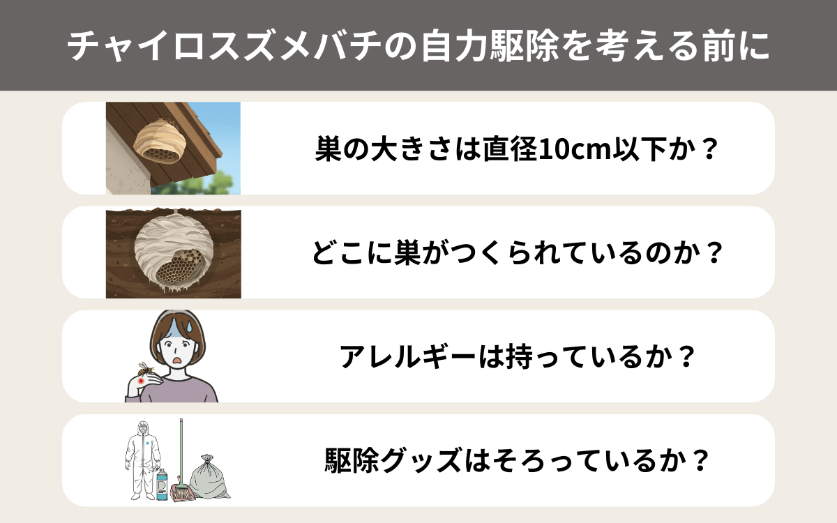 チャイロスズメバチの自力駆除を考える前に