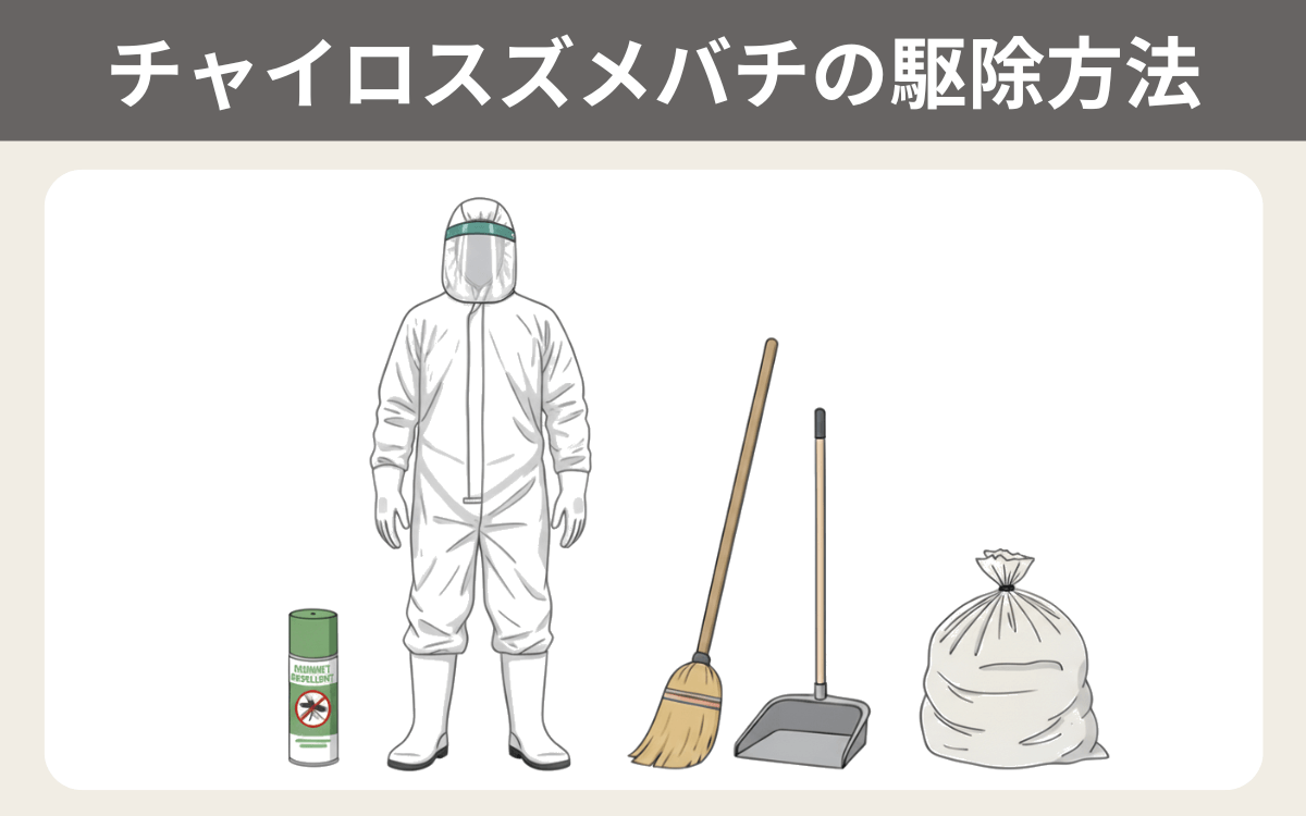 チャイロスズメバチの駆除方法