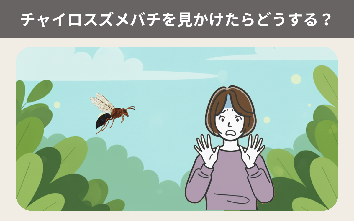 チャイロスズメバチを見かけたらどうする？