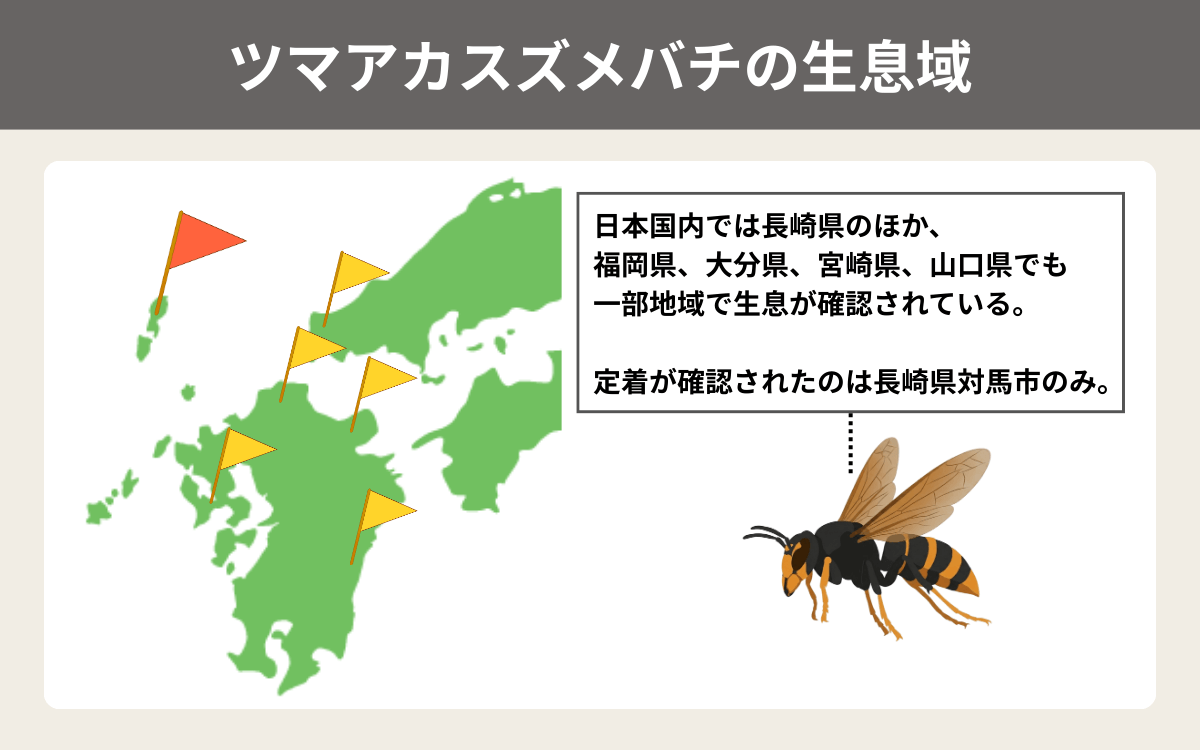 ツマアカスズメバチの生息域