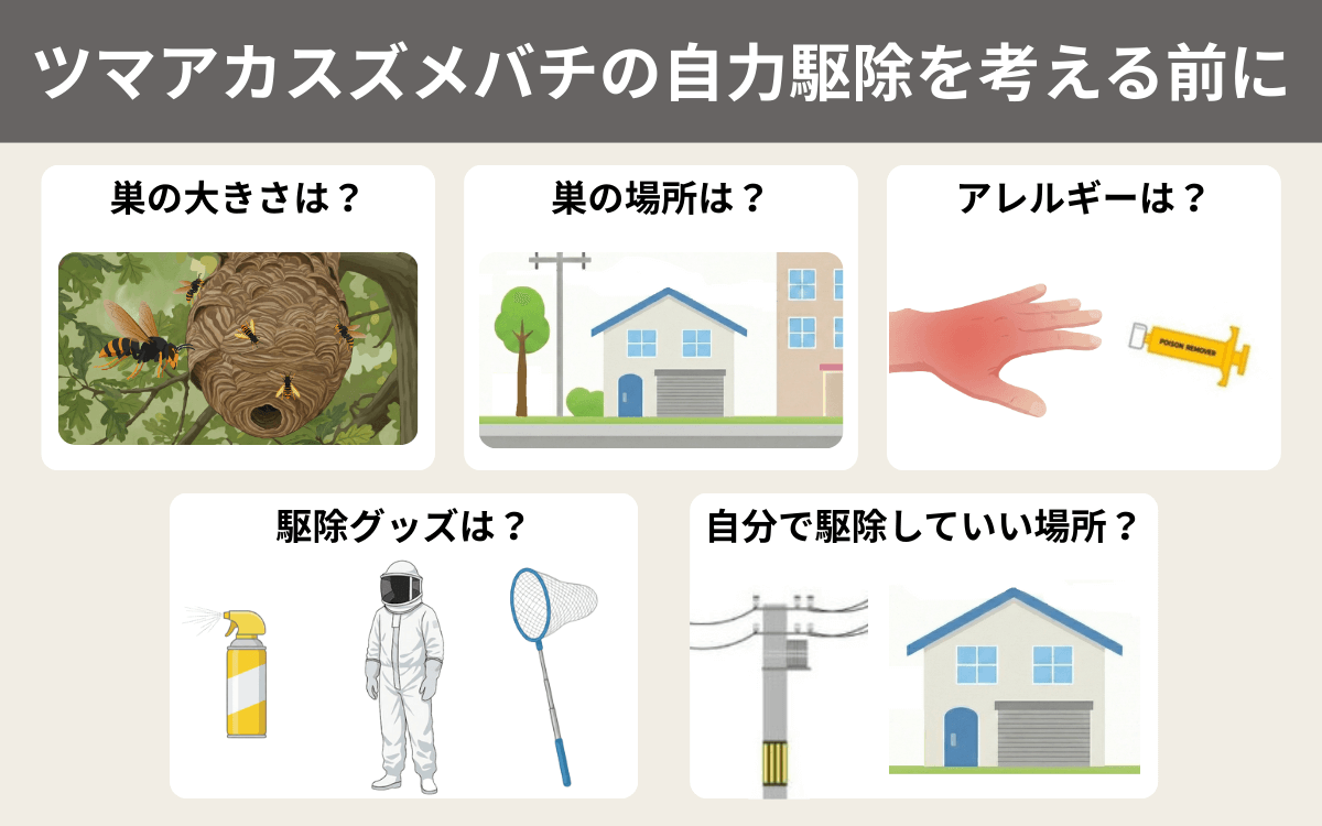 ツマアカスズメバチの自力駆除を考える前に