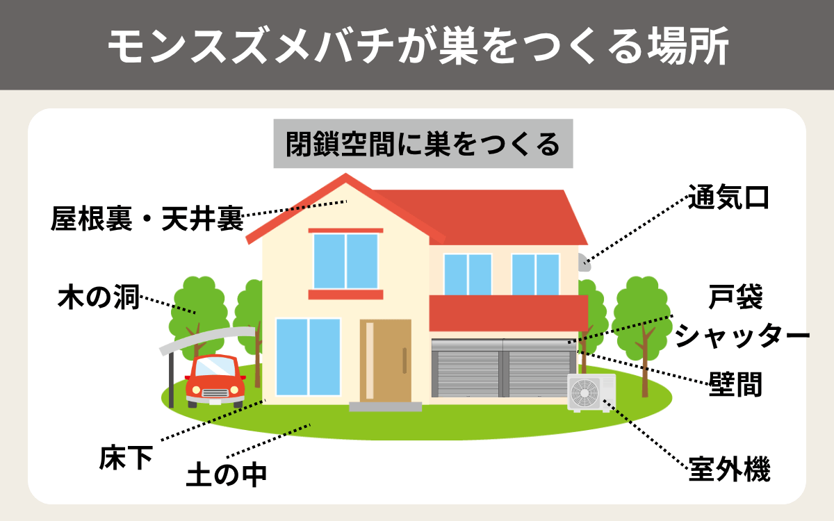 モンスズメバチが巣をつくる場所一覧