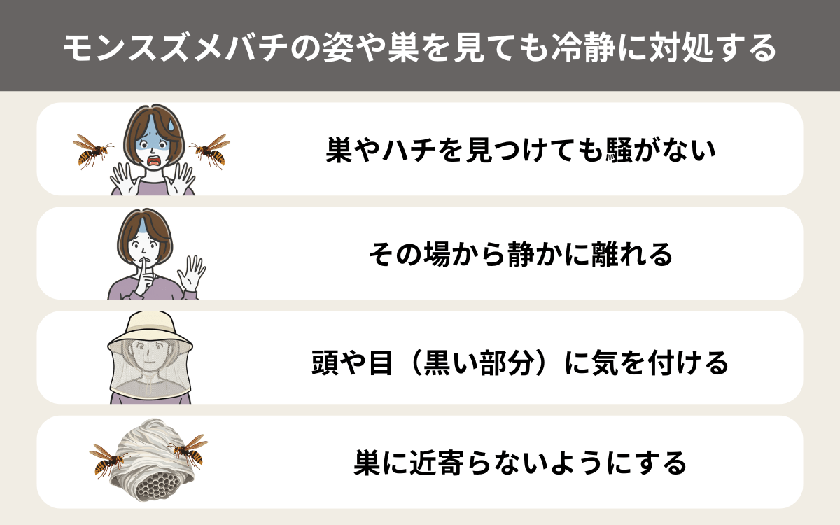 モンスズメバチの姿や巣を見ても冷静に対処する