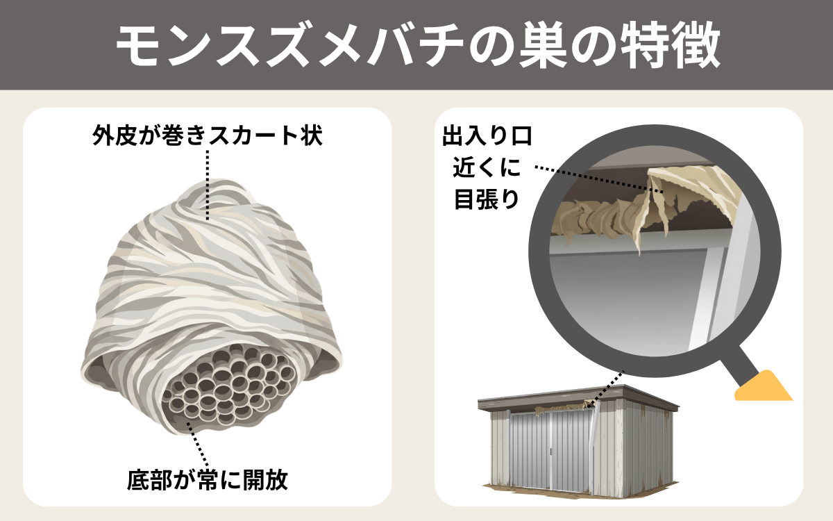 モンスズメバチの巣の特徴