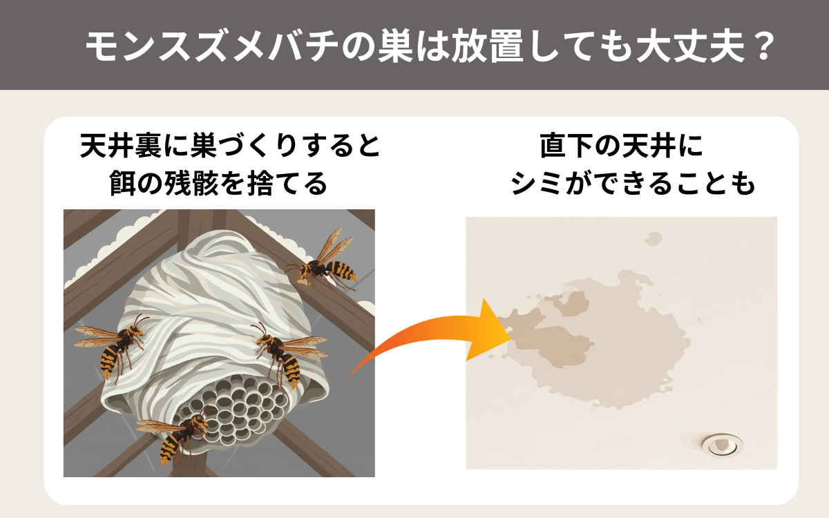 モンスズメバチの巣は放置しても大丈夫？