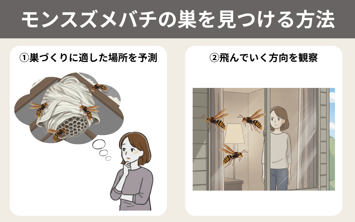 モンスズメバチの巣を見つける方法