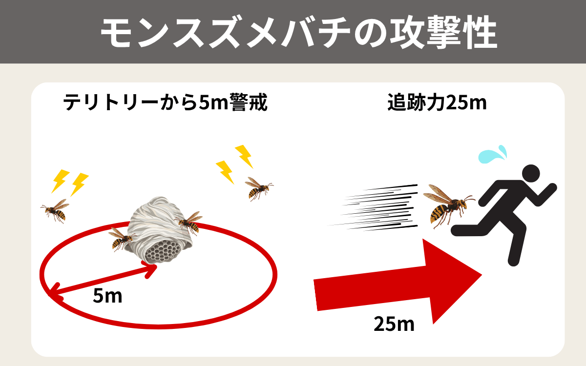 モンスズメバチの攻撃性