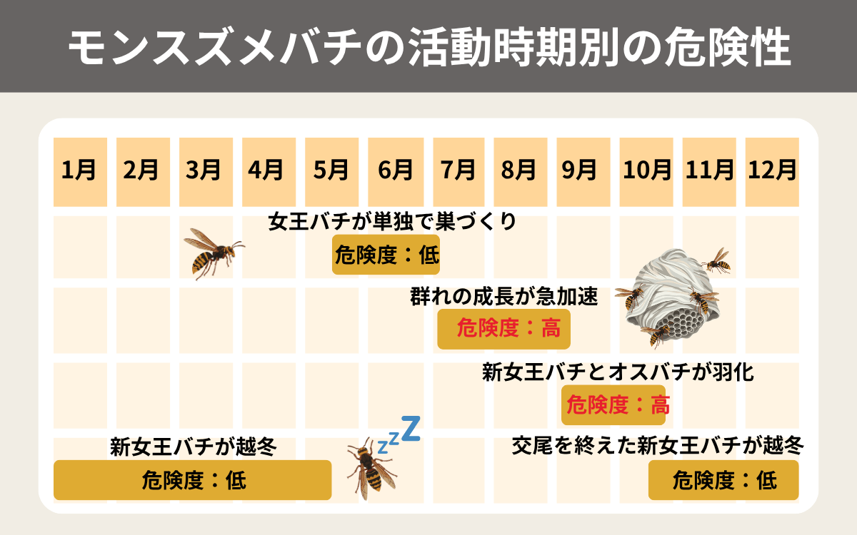 モンスズメバチの活動時期別の危険性
