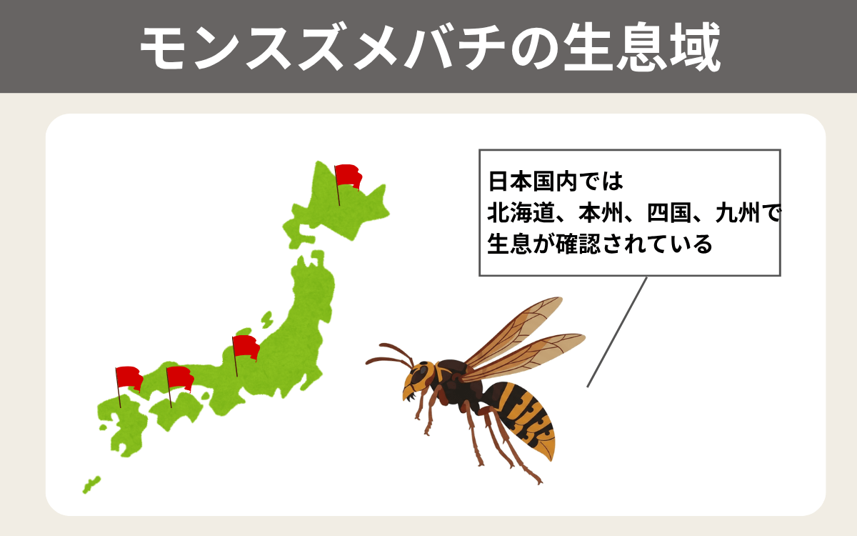 モンスズメバチの生息域