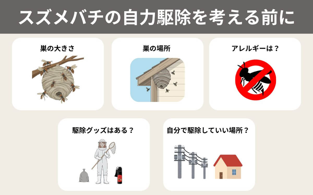 スズメバチの自力駆除を考える前に