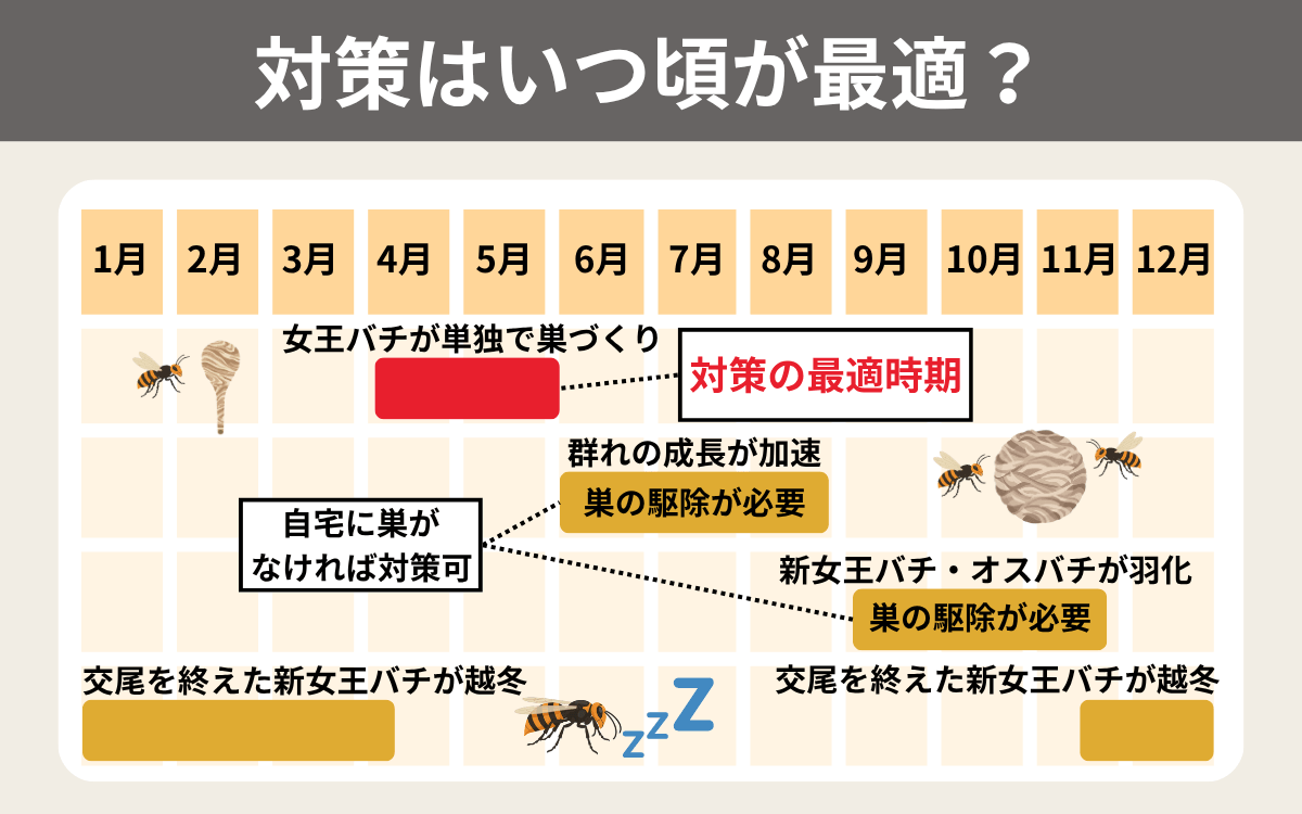 対策はいつ頃が最適？