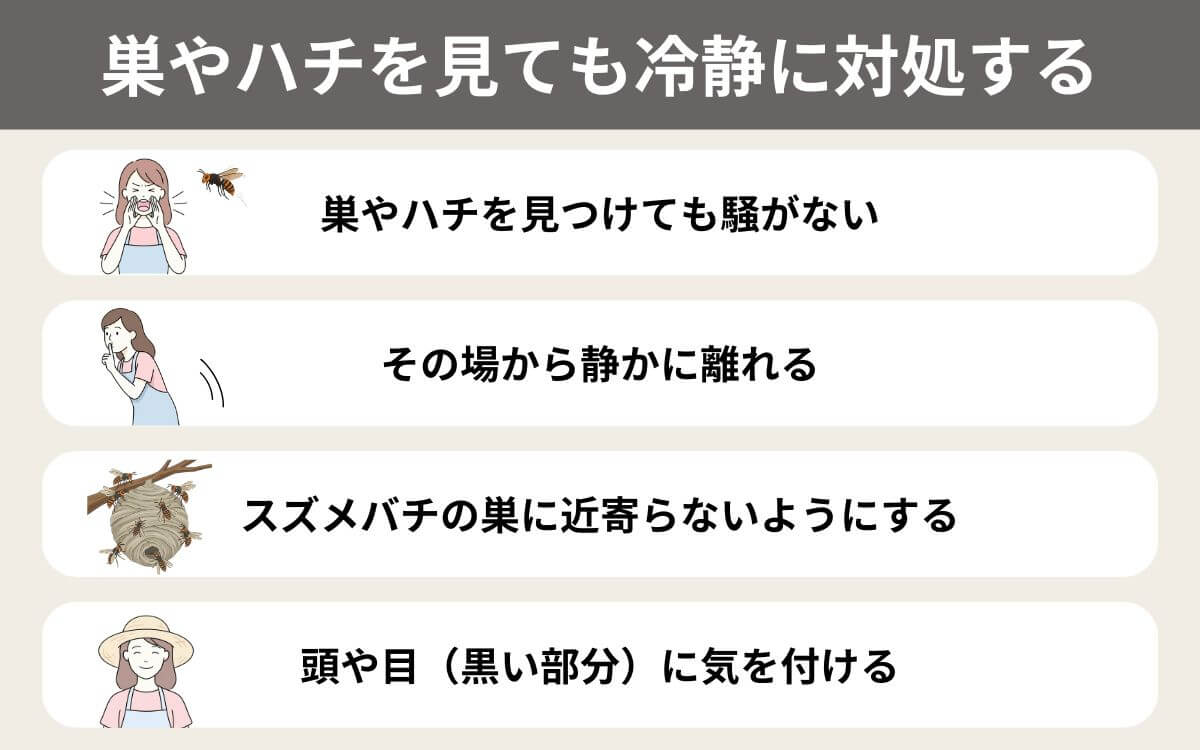 巣やハチを見ても冷静に対処する