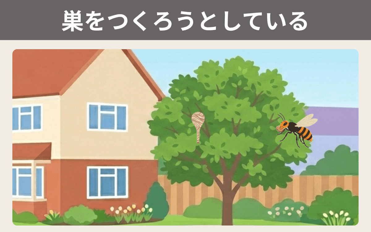 巣をつくろうとしている