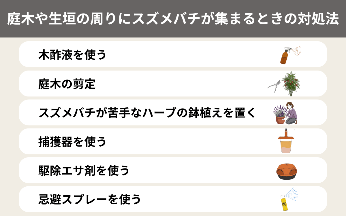 庭木や生垣の周りにスズメバチが集まるときの対処法