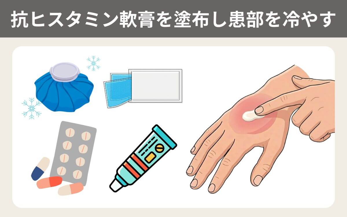 抗ヒスタミン軟膏を塗布し患部を冷やす