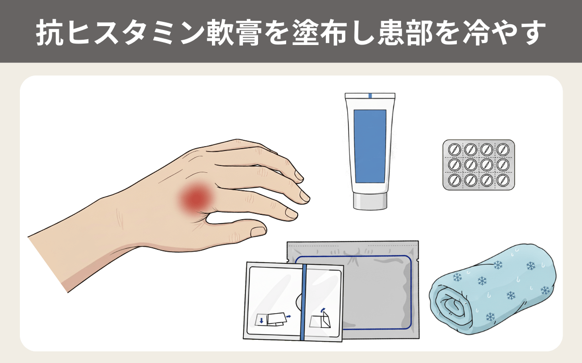 抗ヒスタミン軟膏を塗布し患部を冷やす