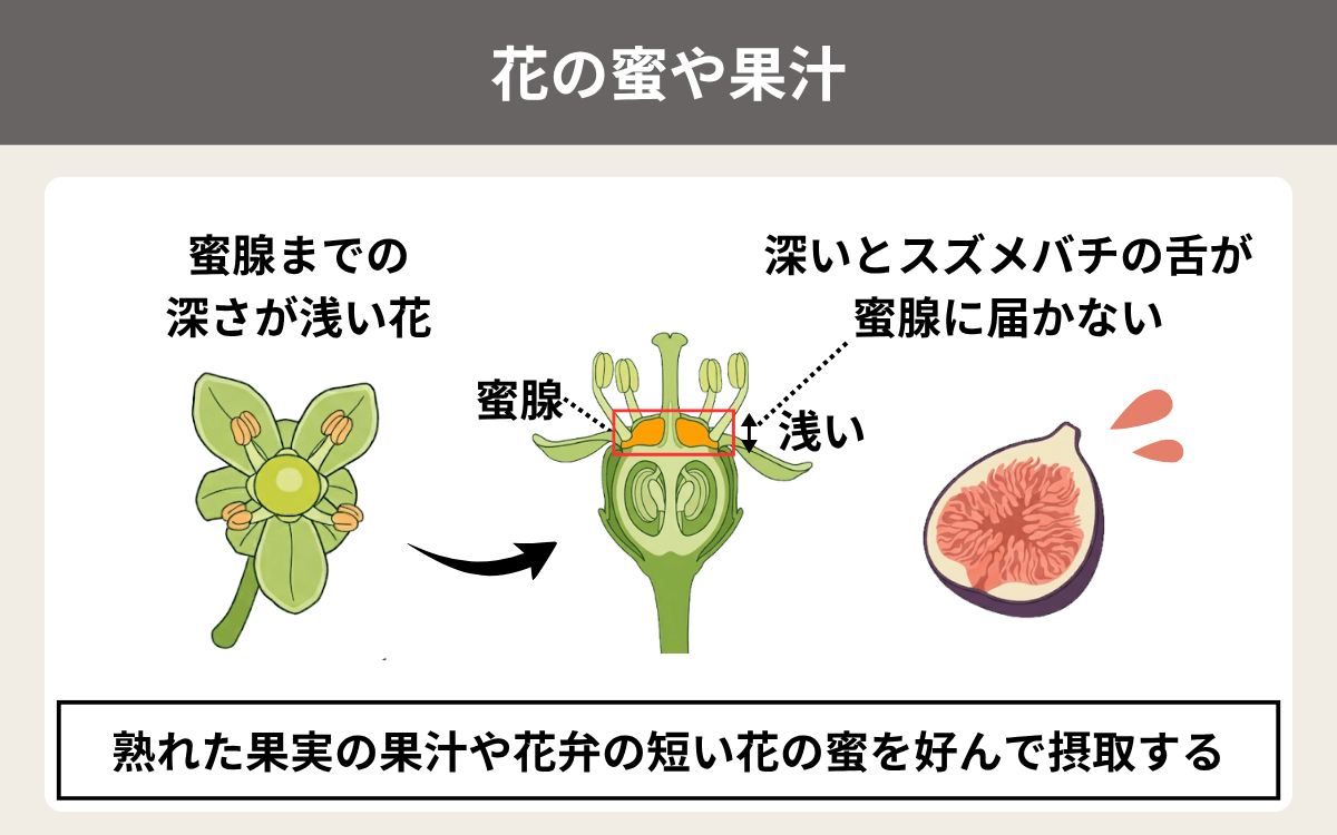 花の蜜や果汁