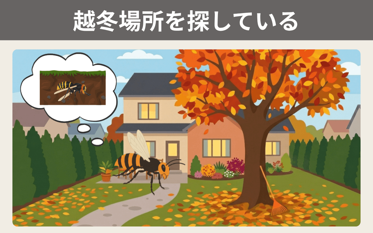 越冬場所を探している