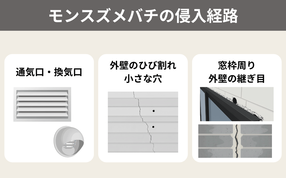 駆除が完了したら侵入経路を塞いで巣づくり対策
