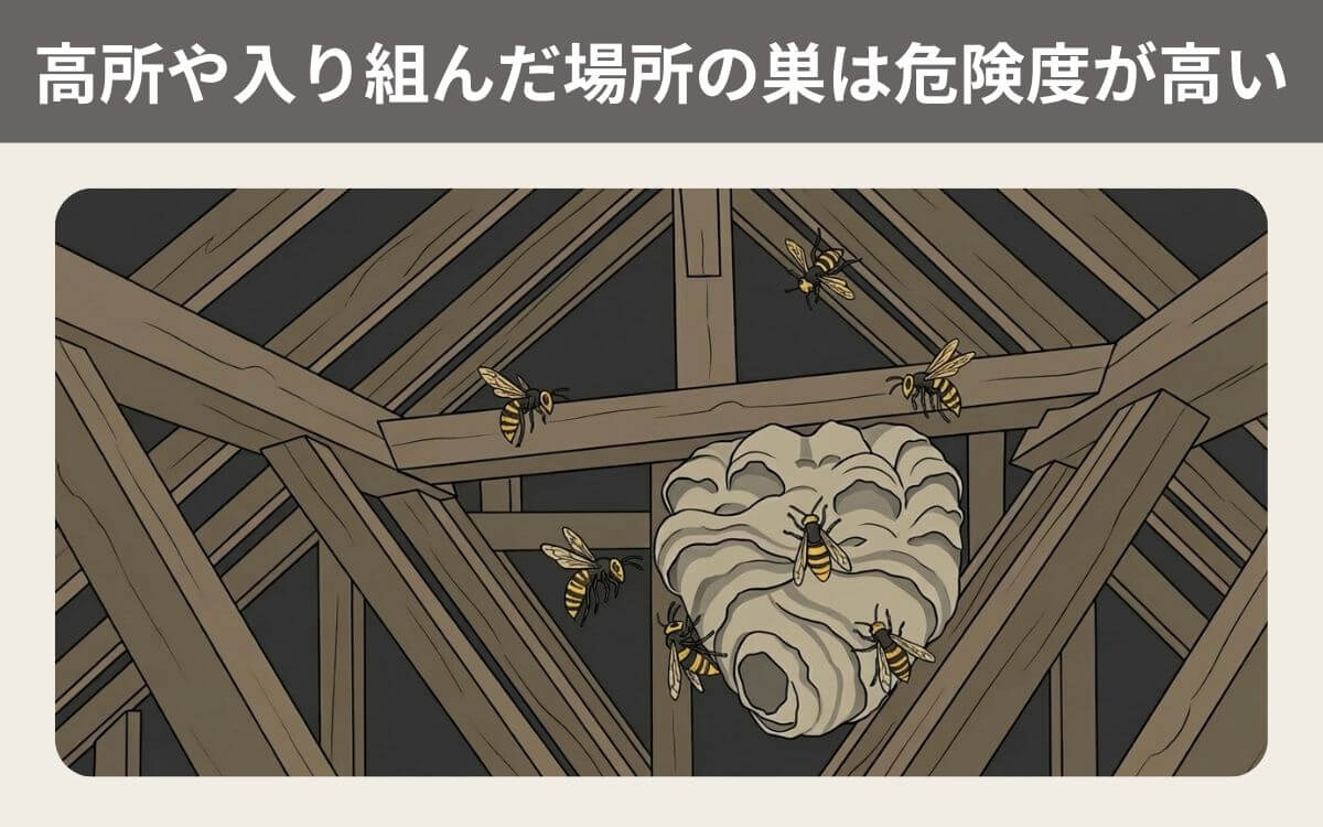 高所や入り組んだ場所の巣は危険度が高い 1
