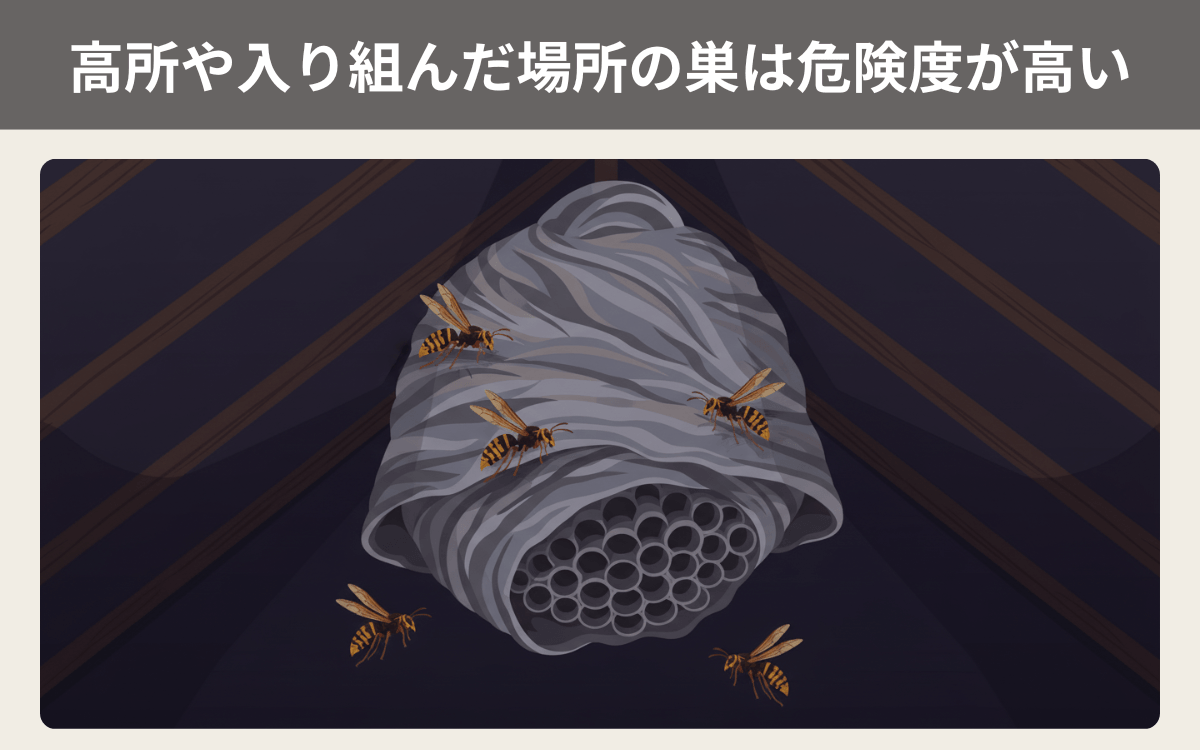 高所や入り組んだ場所の巣は危険度が高い 1
