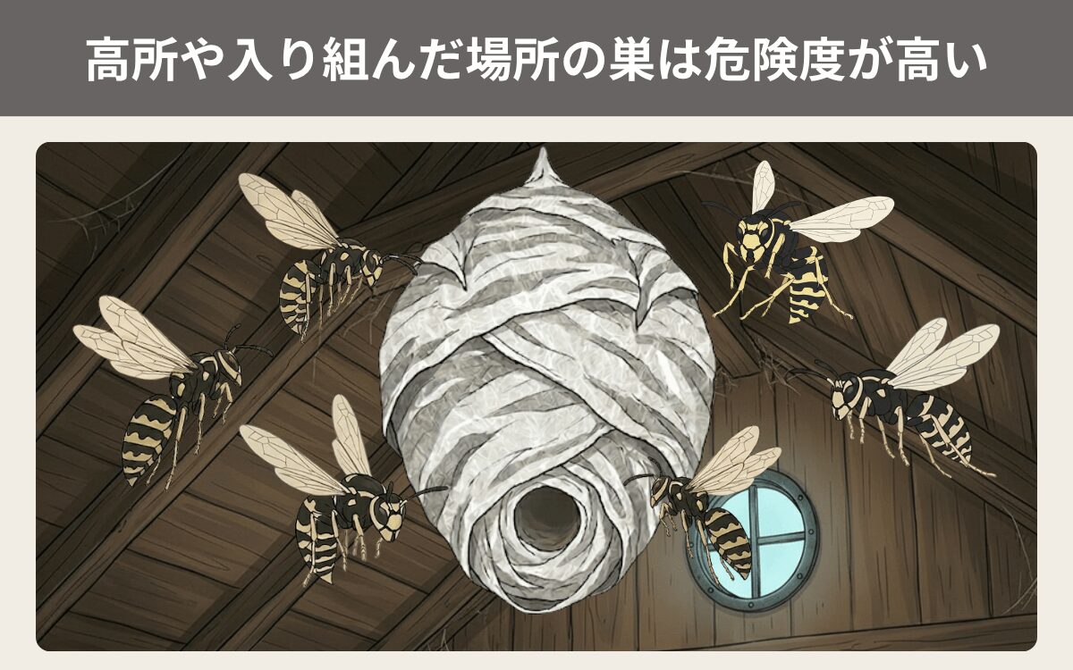 高所や入り組んだ場所の巣は危険度が高い 2