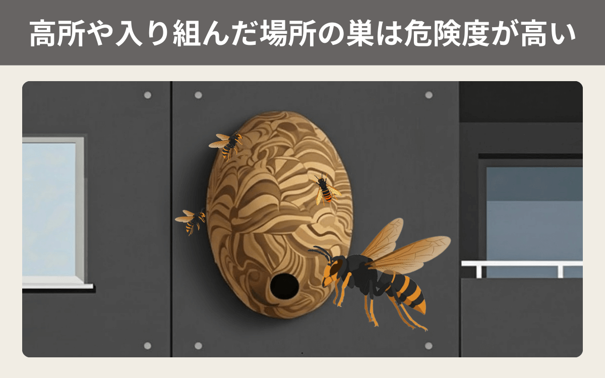 高所や入り組んだ場所の巣は危険度が高い