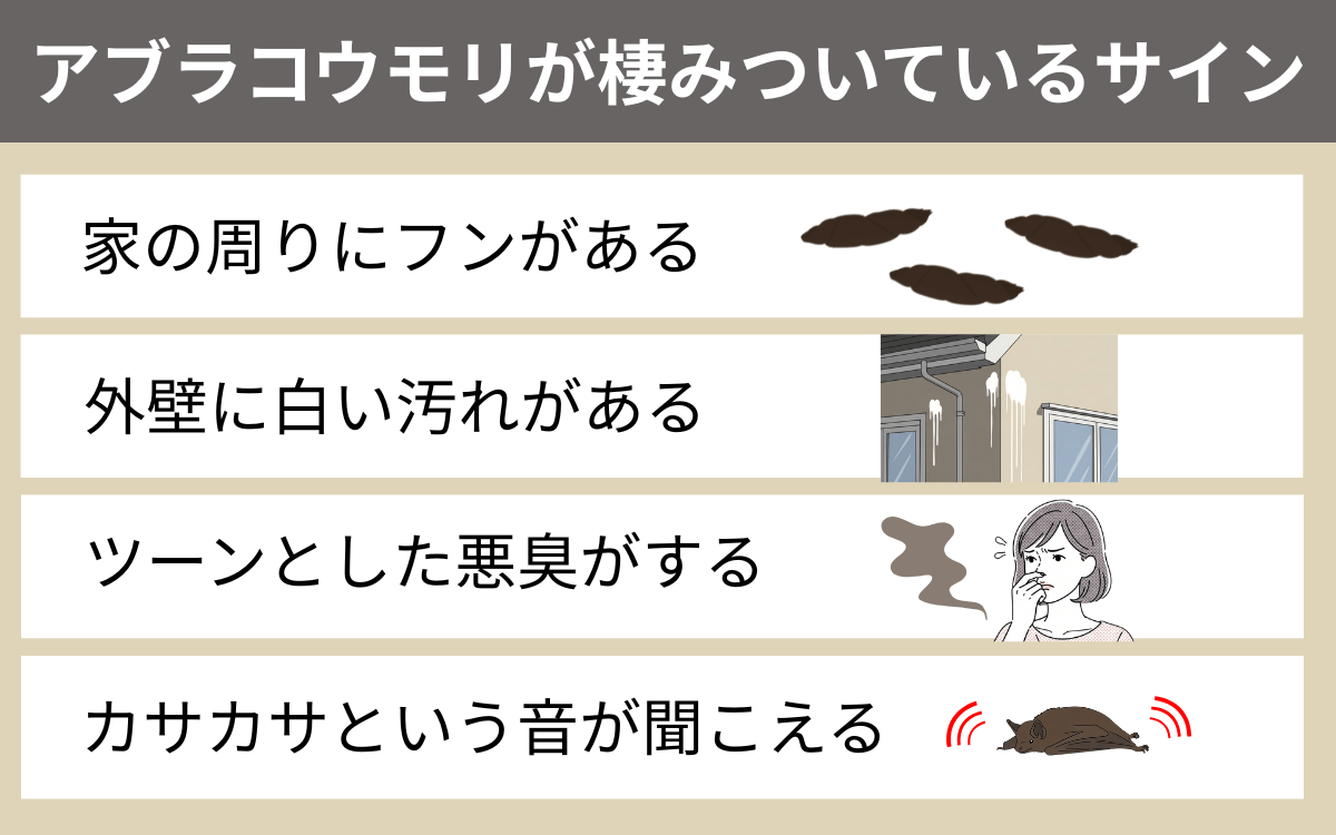 アブラコウモリが棲みついているサイン