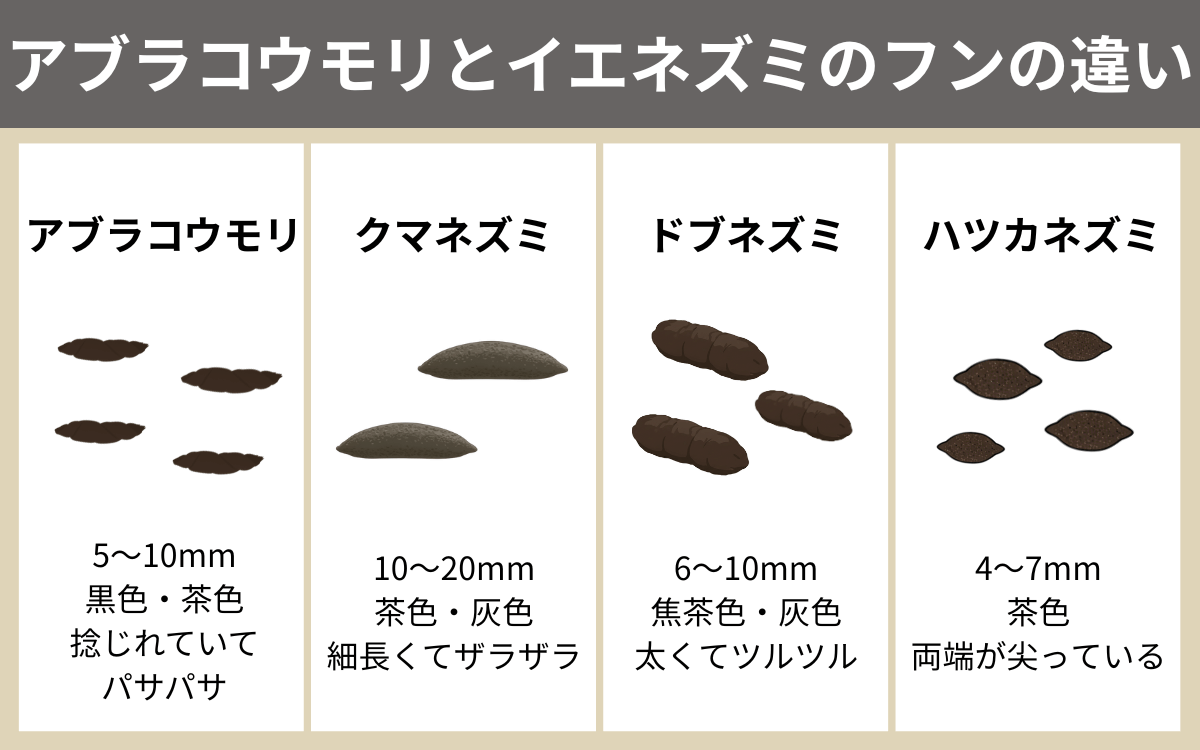 アブラコウモリとイエネズミのフンの違い